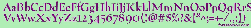 Шрифт PreissigantikvaBold – фиолетовые шрифты на зелёном фоне