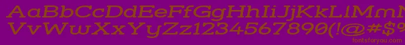 Strsswi Font – Brown Fonts on Purple Background
