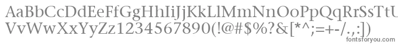 ItcStoneSerifLt-Schriftart – Graue Schriften