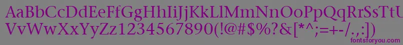 ItcStoneSerifLt Font – Purple Fonts on Gray Background