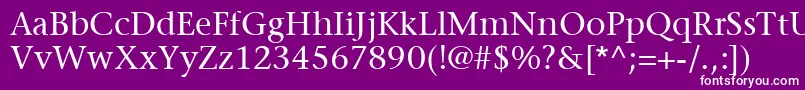 ItcStoneSerifLt Font – White Fonts on Purple Background