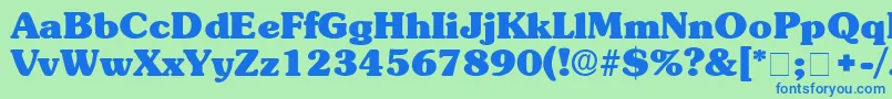 BerraDisplaySsi Font – Blue Fonts on Green Background