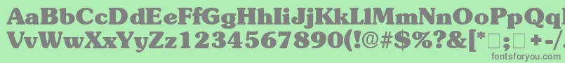 フォントBerraDisplaySsi – 緑の背景に灰色の文字