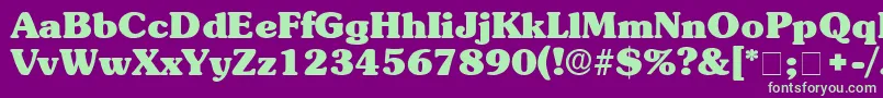 BerraDisplaySsi Font – Green Fonts on Purple Background