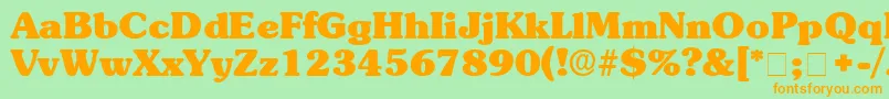 BerraDisplaySsi Font – Orange Fonts on Green Background