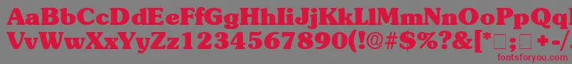 フォントBerraDisplaySsi – 赤い文字の灰色の背景