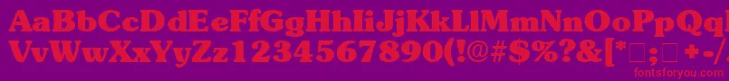 BerraDisplaySsi Font – Red Fonts on Purple Background