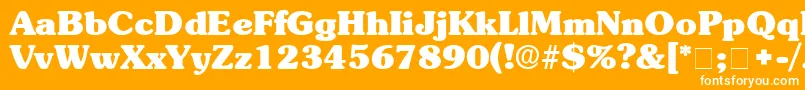 BerraDisplaySsi Font – White Fonts on Orange Background