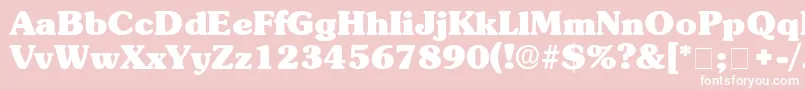 BerraDisplaySsi Font – White Fonts on Pink Background