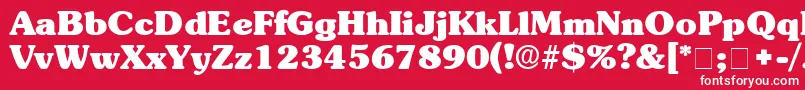 BerraDisplaySsi Font – White Fonts on Red Background