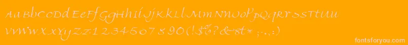 Więcej informacji o czcionce AmbienteScriptSsiLight Czcionka AmbienteScriptSsiLight – różowe czcionki na pomarańczowym tle