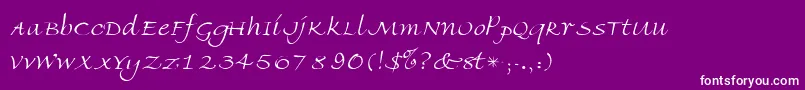 AmbienteScriptSsiLight Font – White Fonts on Purple Background