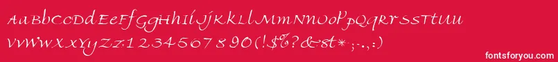 AmbienteScriptSsiLight Font – White Fonts on Red Background