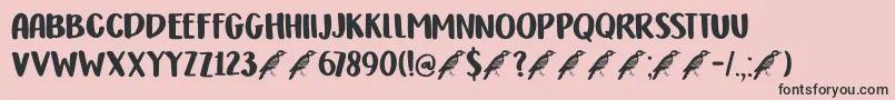 DkHoneyguideCaps Font – Black Fonts on Pink Background