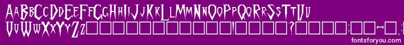 SpykkerRegular Font – White Fonts on Purple Background