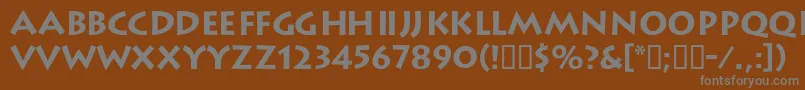 Weitere Informationen zur LiteratdbBold-Schriftart LiteratdbBold-Schriftart – Graue Schriften auf braunem Hintergrund