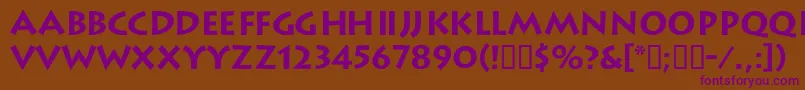 LiteratdbBold Font – Purple Fonts on Brown Background