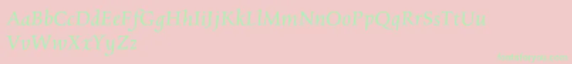CharpentierrenredOblique Font – Green Fonts on Pink Background
