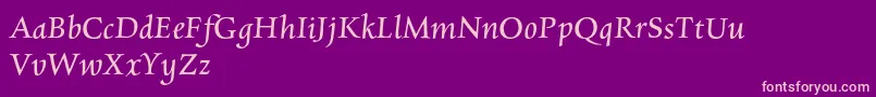 CharpentierrenredOblique Font – Pink Fonts on Purple Background