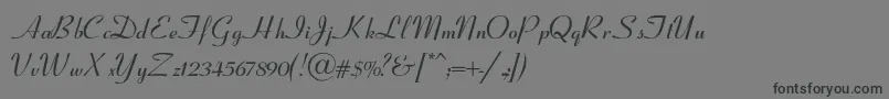 フォントCoronetSemiboldItalic – 黒い文字の灰色の背景