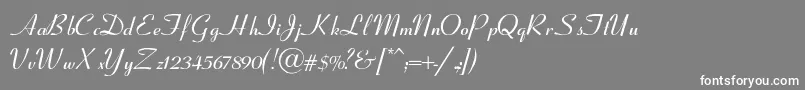 フォントCoronetSemiboldItalic – 灰色の背景に白い文字