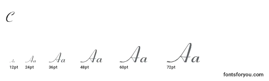 CoronetSemiboldItalic Font Sizes