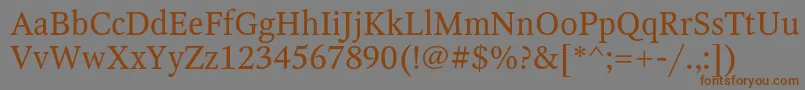 OctavaRegular Font – Brown Fonts on Gray Background