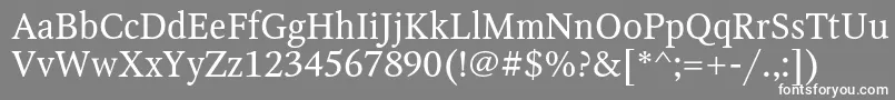 OctavaRegular Font – White Fonts on Gray Background