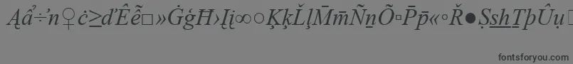 TimesNewRomanSpecialG2Italic-fontti – mustat fontit harmaalla taustalla