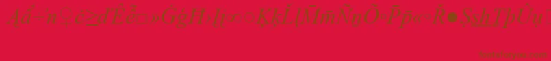 TimesNewRomanSpecialG2Italic Font – Brown Fonts on Red Background