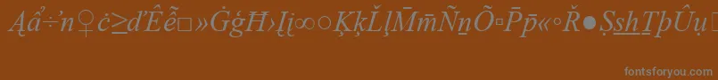 TimesNewRomanSpecialG2Italic-Schriftart – Graue Schriften auf braunem Hintergrund