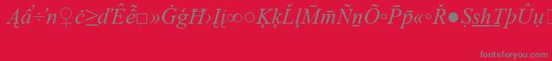 TimesNewRomanSpecialG2Italic Font – Gray Fonts on Red Background