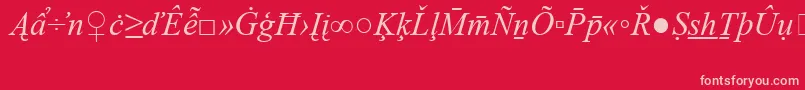 TimesNewRomanSpecialG2Italic Font – Pink Fonts on Red Background