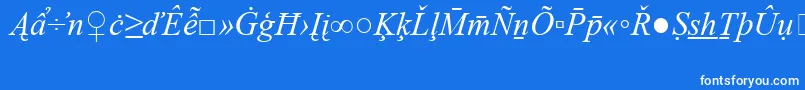 フォントTimesNewRomanSpecialG2Italic – 青い背景に白い文字