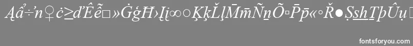 フォントTimesNewRomanSpecialG2Italic – 灰色の背景に白い文字