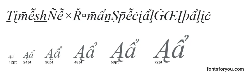 TimesNewRomanSpecialG2Italic Font Sizes