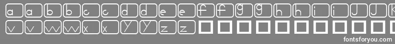 Noir Font – White Fonts on Gray Background