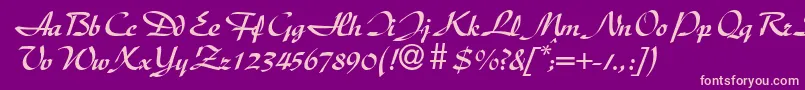 DischanddbNormal Font – Pink Fonts on Purple Background