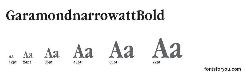 Размеры шрифта GaramondnarrowattBold