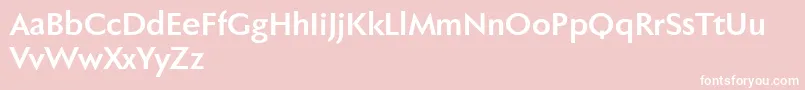 Fabersanspro75reduced Font – White Fonts on Pink Background