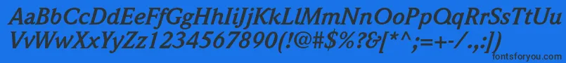 WeidemannstdBolditalic Font – Black Fonts on Blue Background