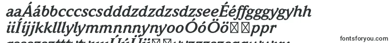 WeidemannstdBolditalic-fontti – unkarilaiset fontit