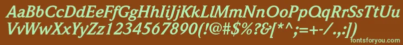 WeidemannstdBolditalic Font – Green Fonts on Brown Background