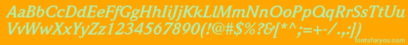 WeidemannstdBolditalic Font – Green Fonts on Orange Background