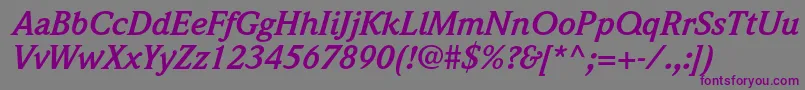 WeidemannstdBolditalic Font – Purple Fonts on Gray Background