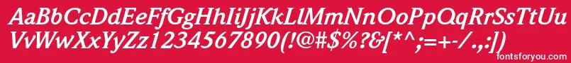 WeidemannstdBolditalic Font – White Fonts on Red Background