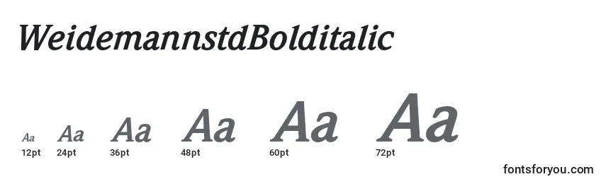 WeidemannstdBolditalic Font Sizes