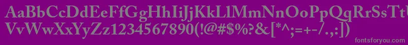 フォントAcaslonproBold – 紫の背景に灰色の文字