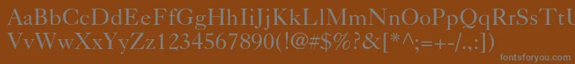 フォントCaslon540ltstdRoman – 茶色の背景に灰色の文字