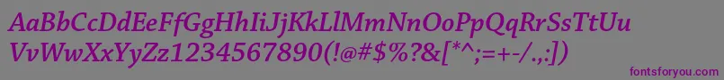 Шрифт ChaparralproSemibolditsubh – фиолетовые шрифты на сером фоне